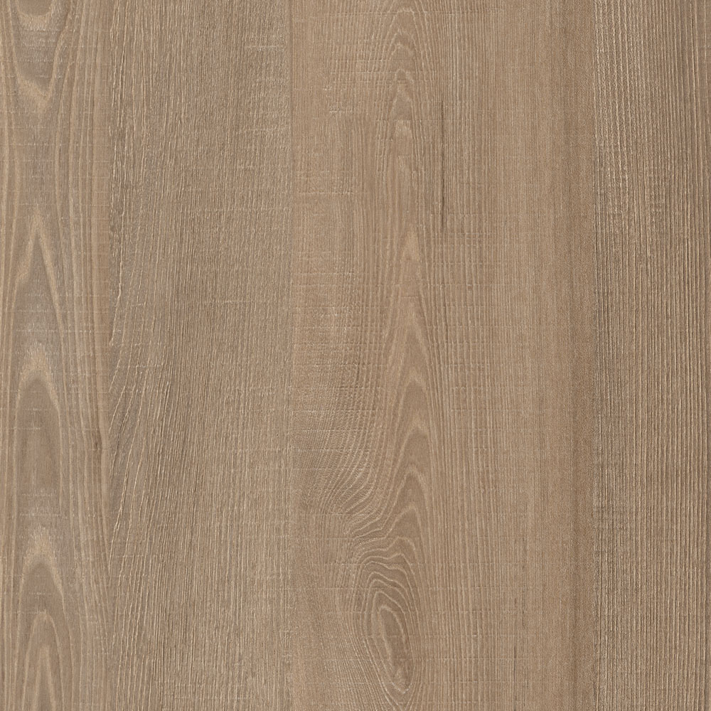 TIN-013K Foschia Elm G