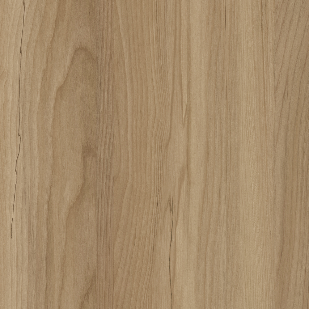 TIN-2524K Sieg Birch N