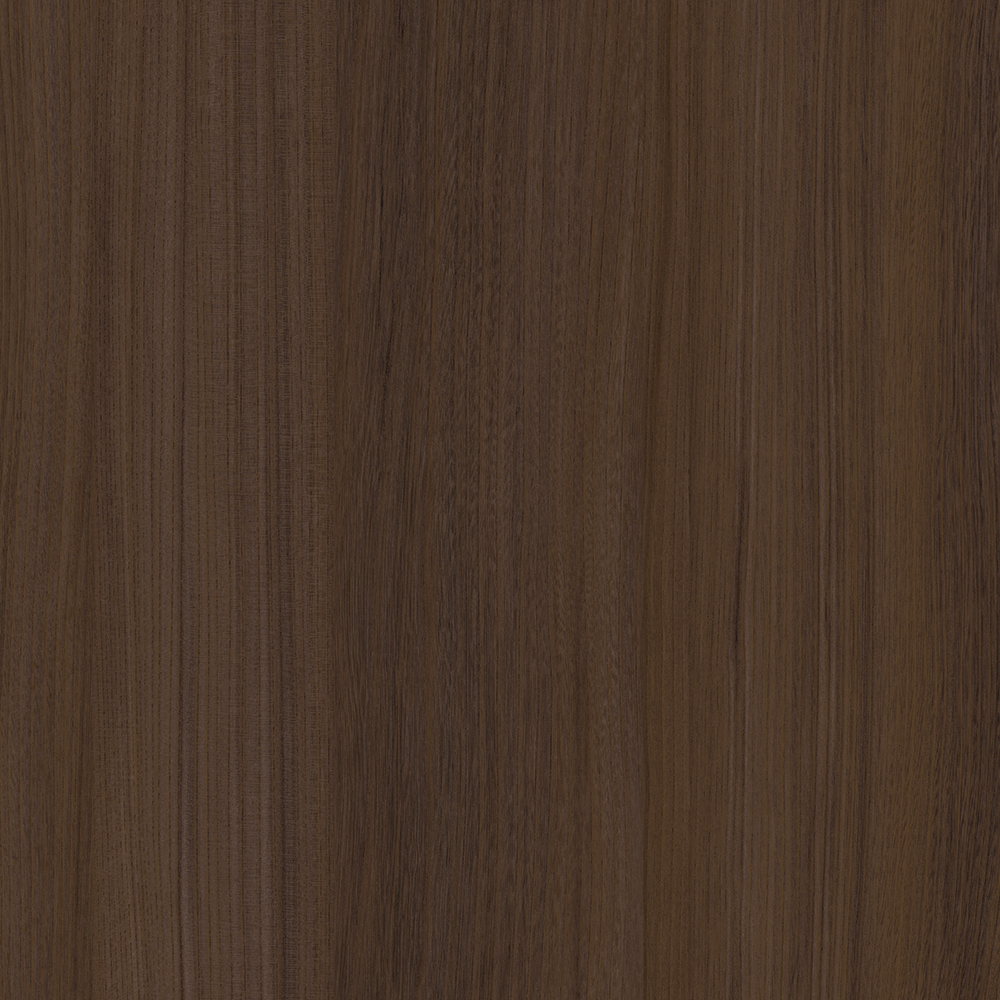 TINE-0002 Mohawke Elm DG