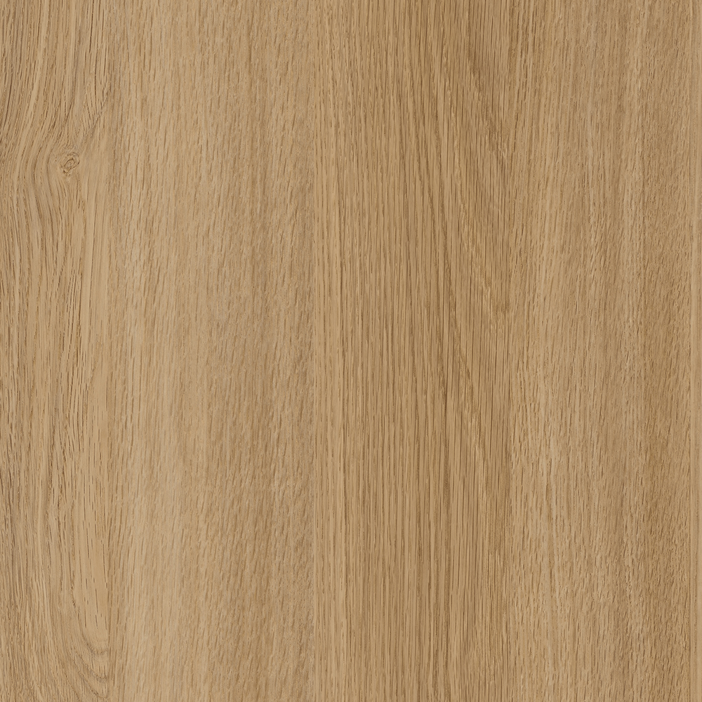 TINE-0003 Immersion Oak N