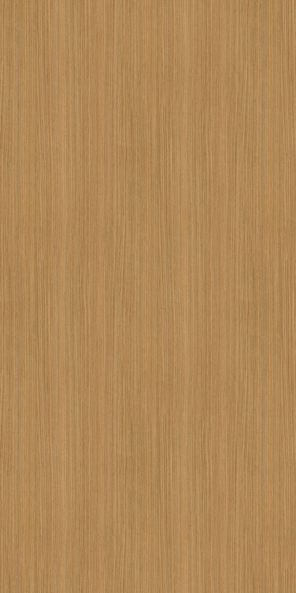 TIN-010K Precious Oak M