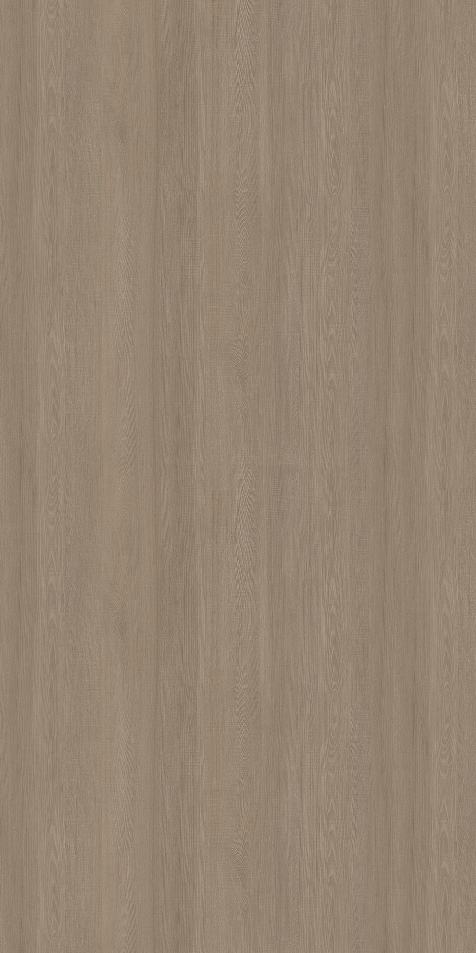 TIN-013K Foschia Elm G