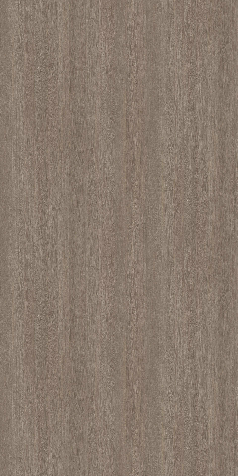 TIN-015K Chalked Sucupira G