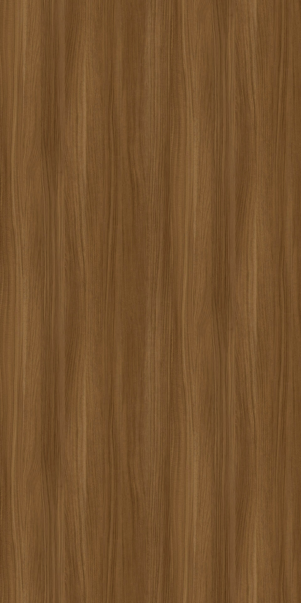 TIN-907K Lindo Acacia LB