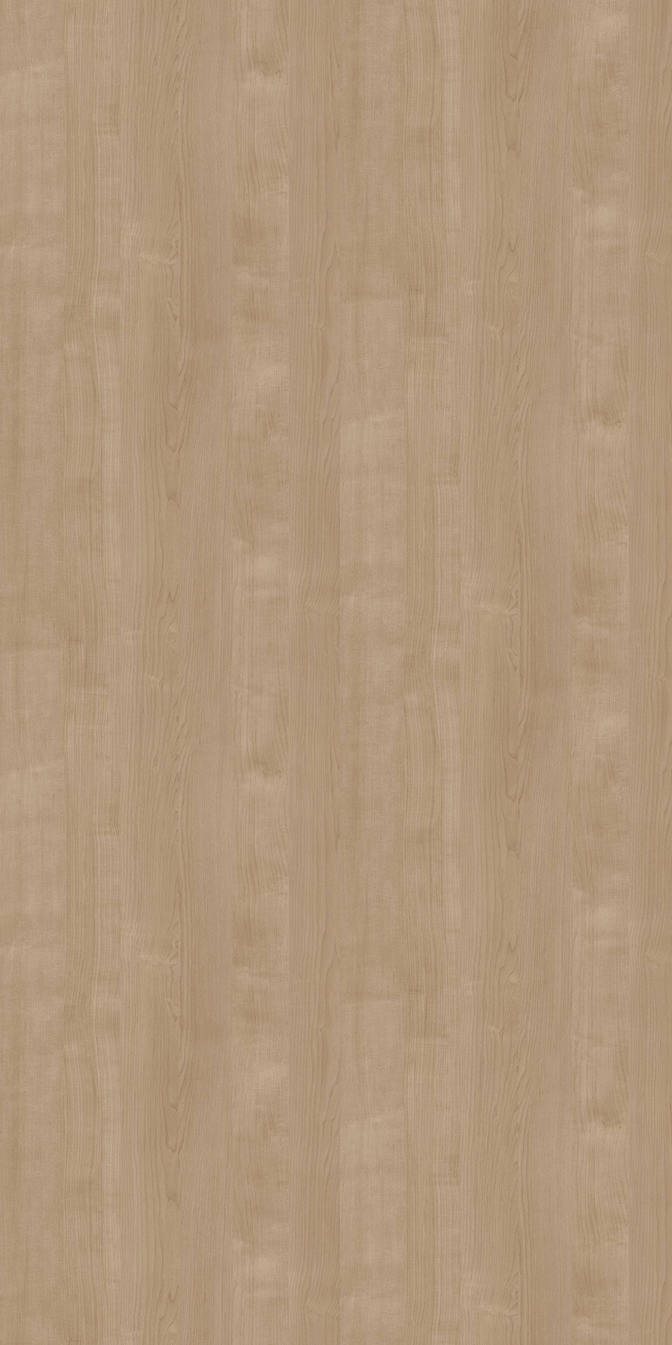 TIN-2101K Stylish Maple N