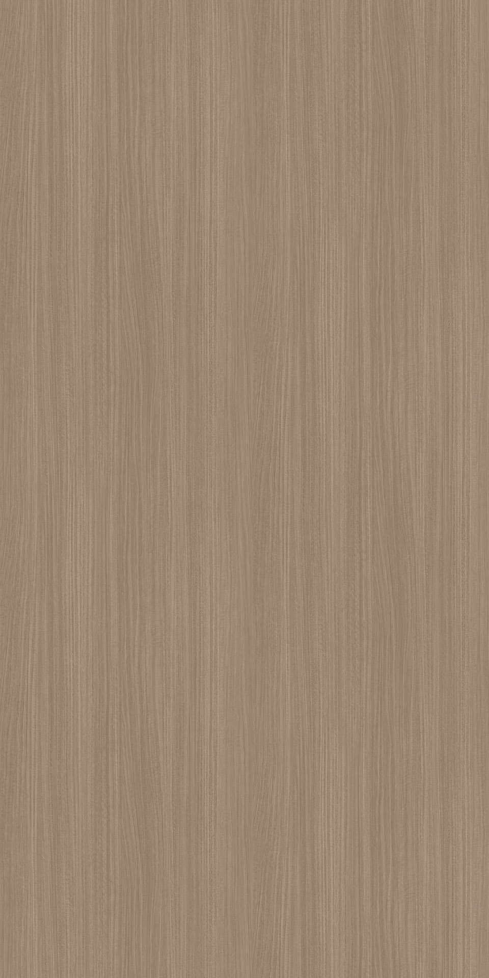 TIN-2104K Salone Eucalyptus G