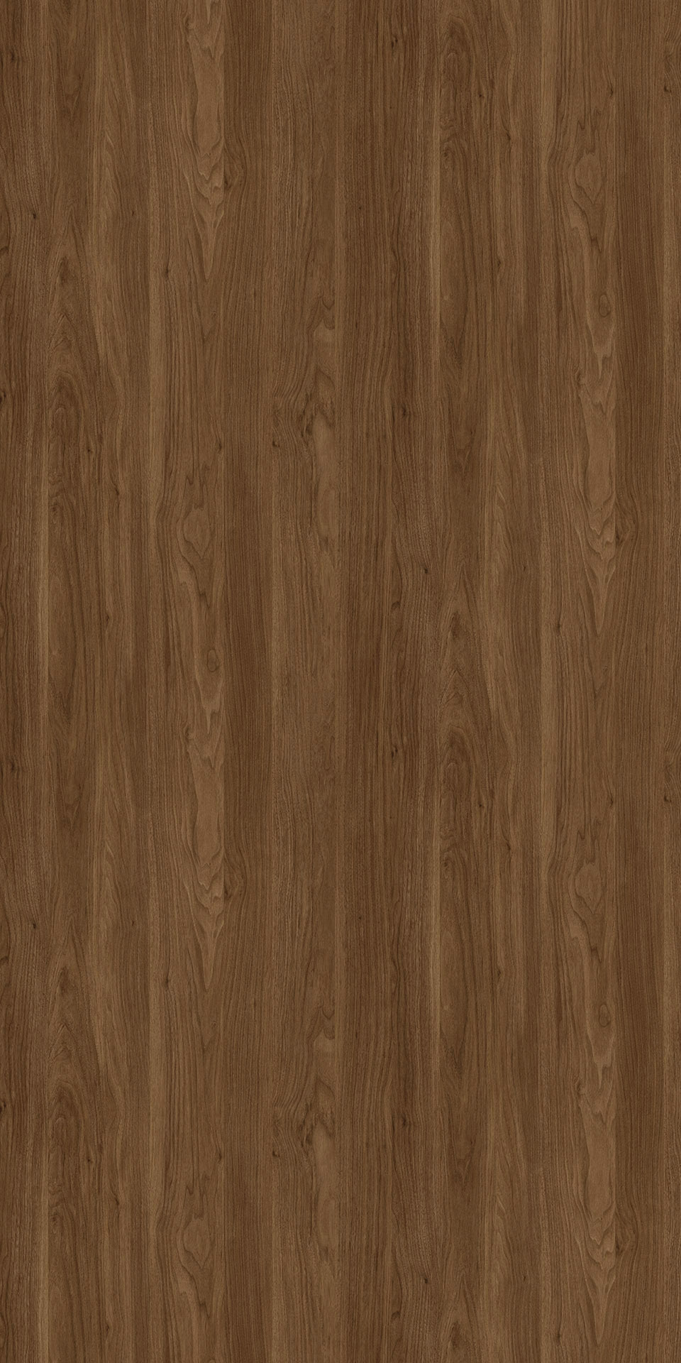 TIN-2201K CONCISE WALNUT N