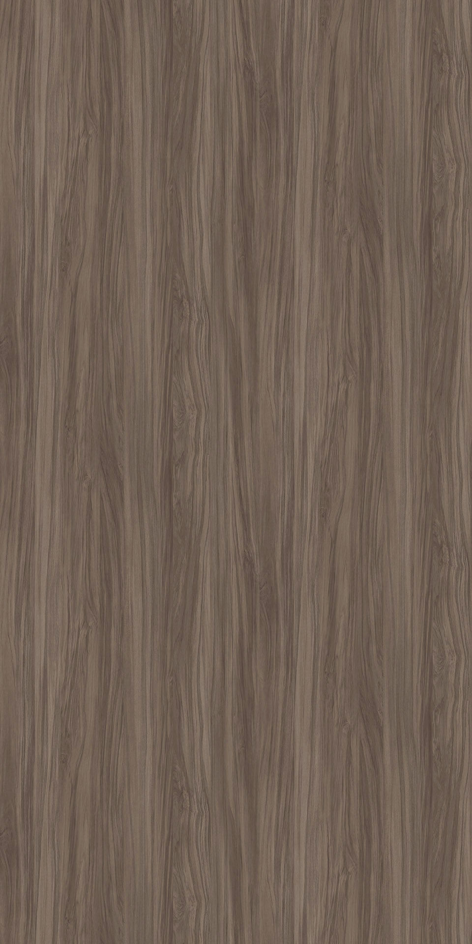 TIN-2517K Nouvelle Castillo G