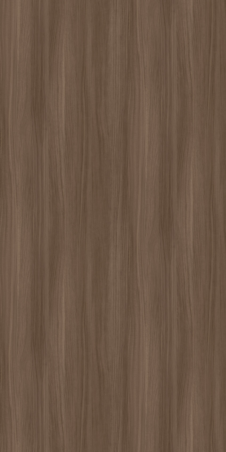 TIN-2518K Lindo Acacia G