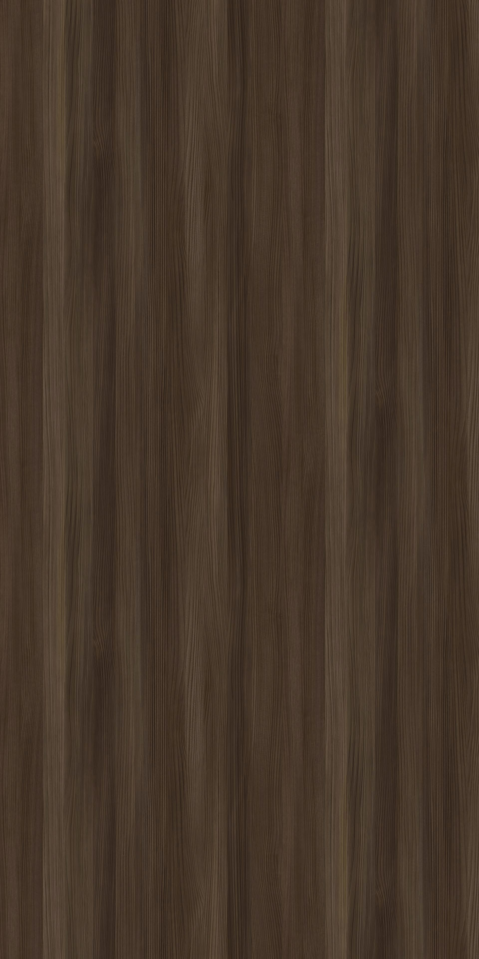 TIN-2521K Ligne Cedar DG