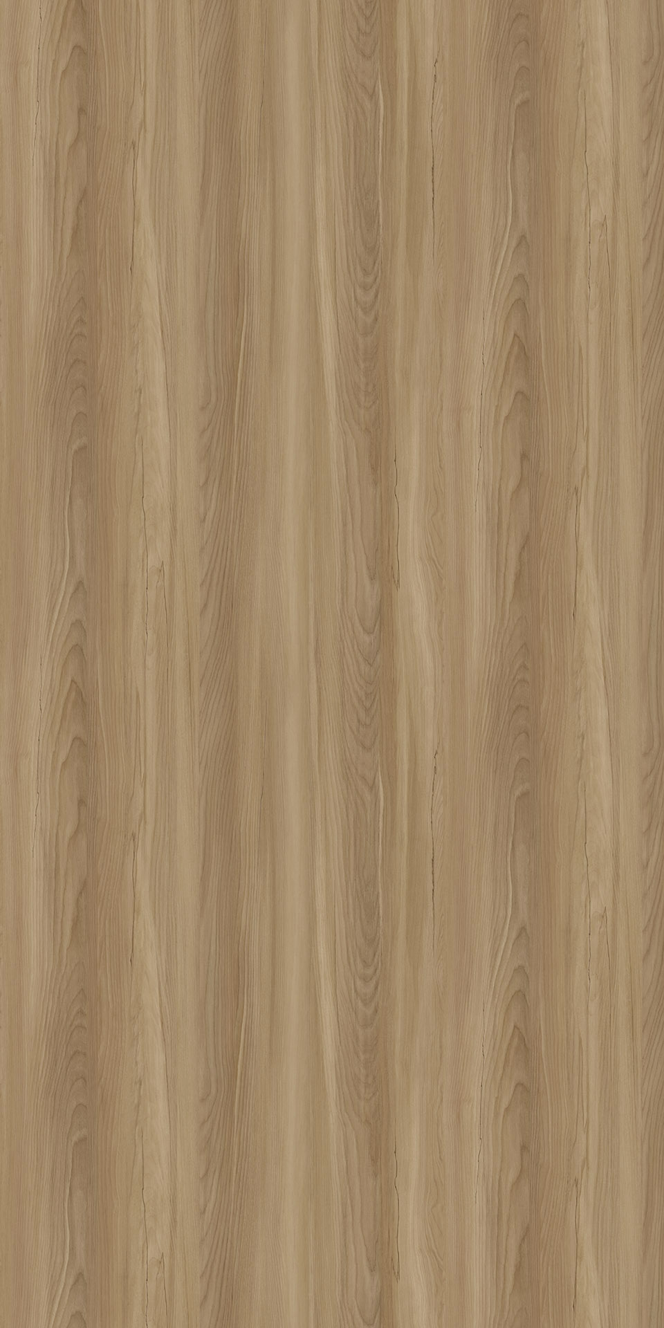 TIN-2524K Sieg Birch N