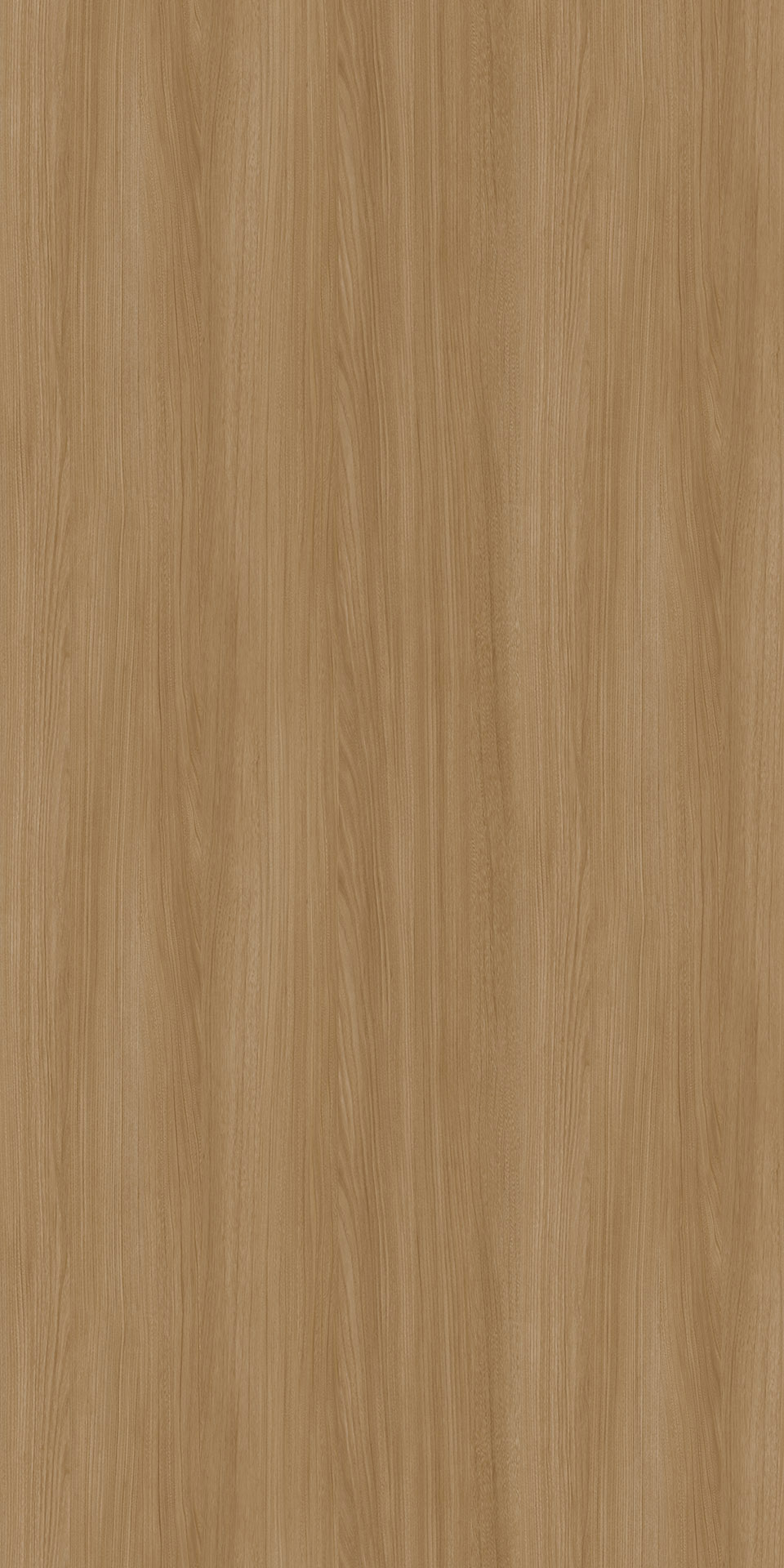 TIN-2526K Humming Elm N