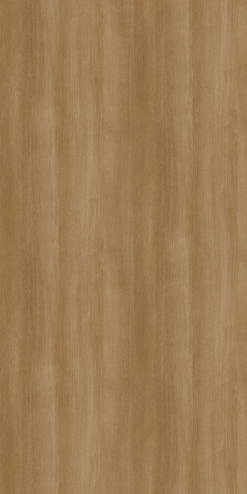 TIN-2531K Axis Oak L