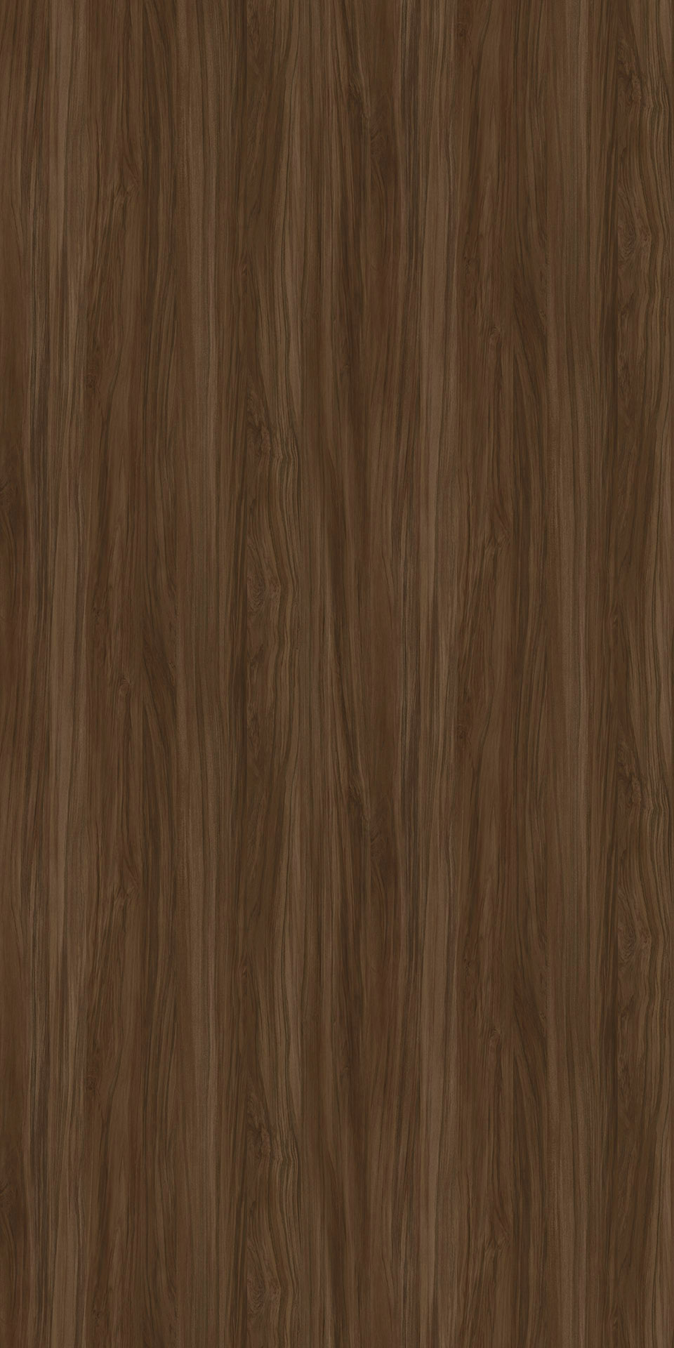 TIN-2534K Nouvelle Castillo D