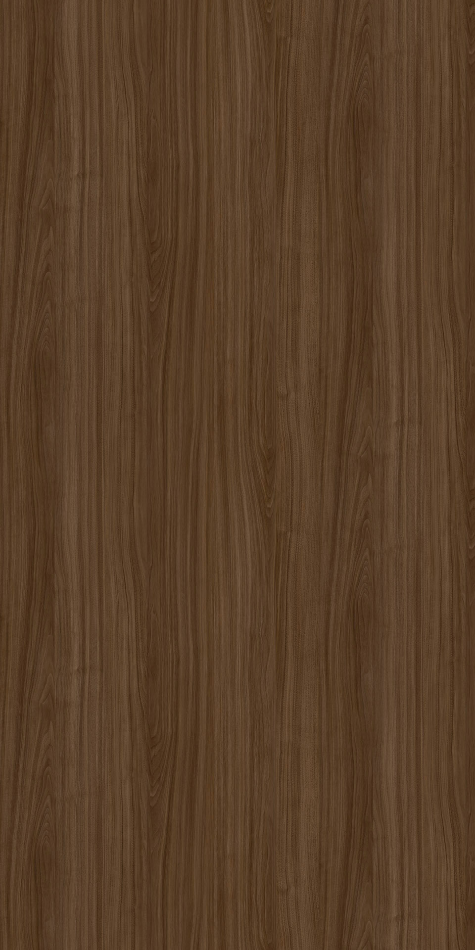 TIN-2536K Agile Walnut B