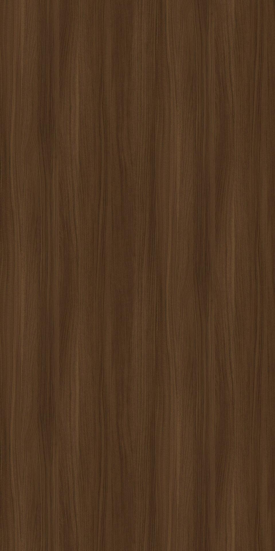 TIN-2538K Lindo Acacia DB