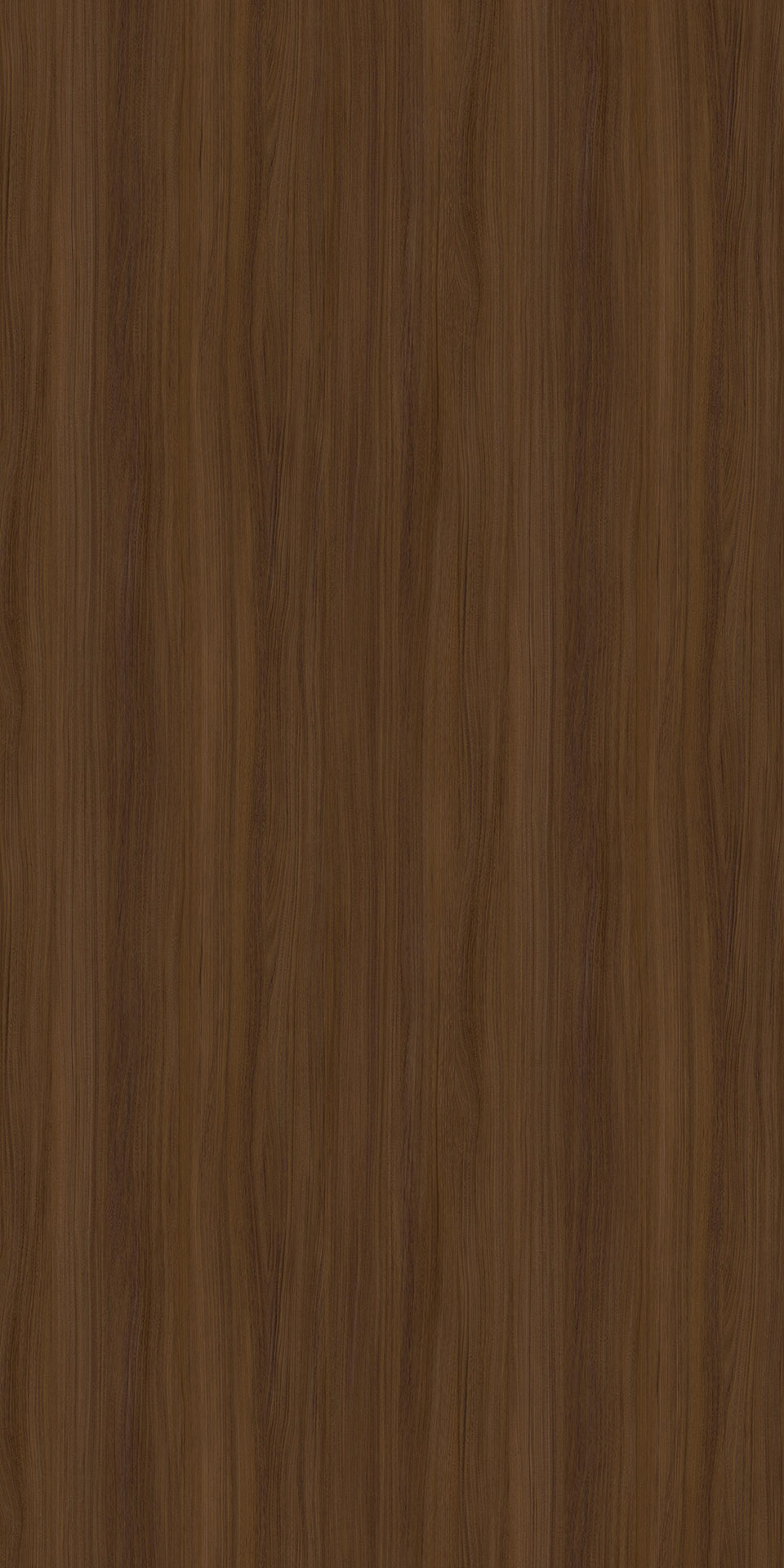 TINE-0001 Mohawke Elm BR