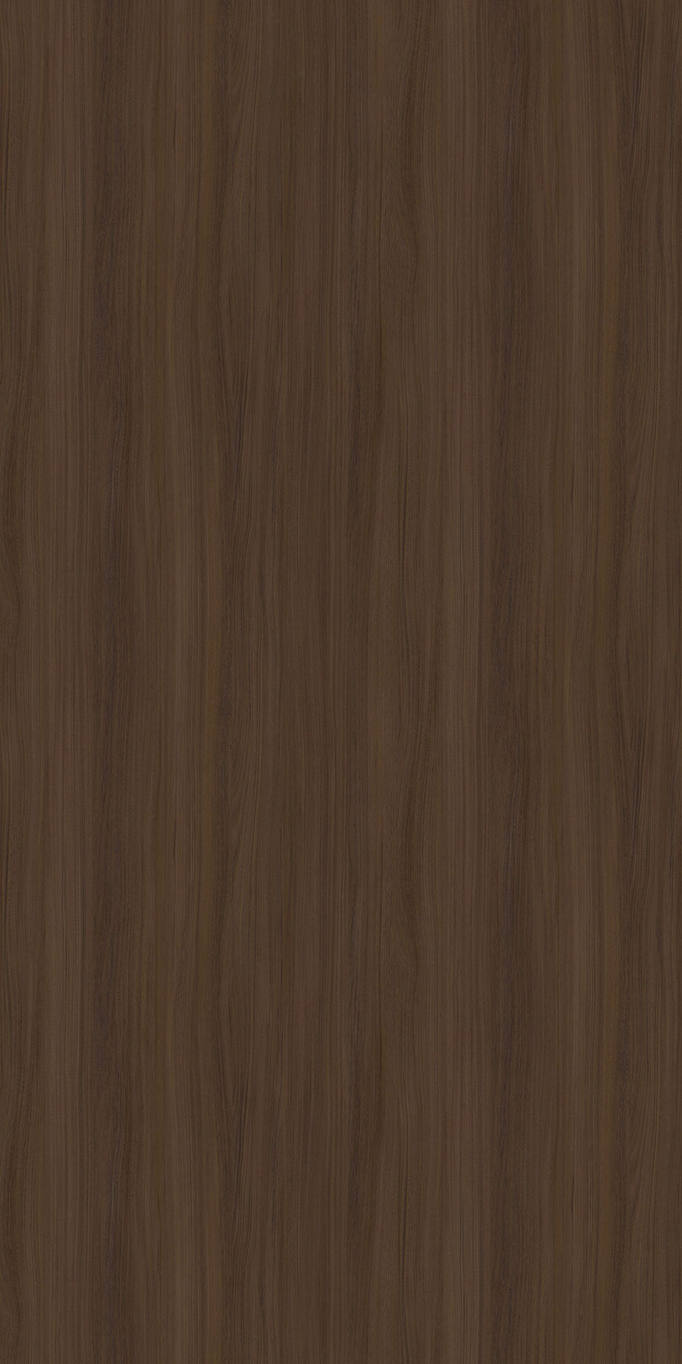 TINE-0002 Mohawke Elm DG