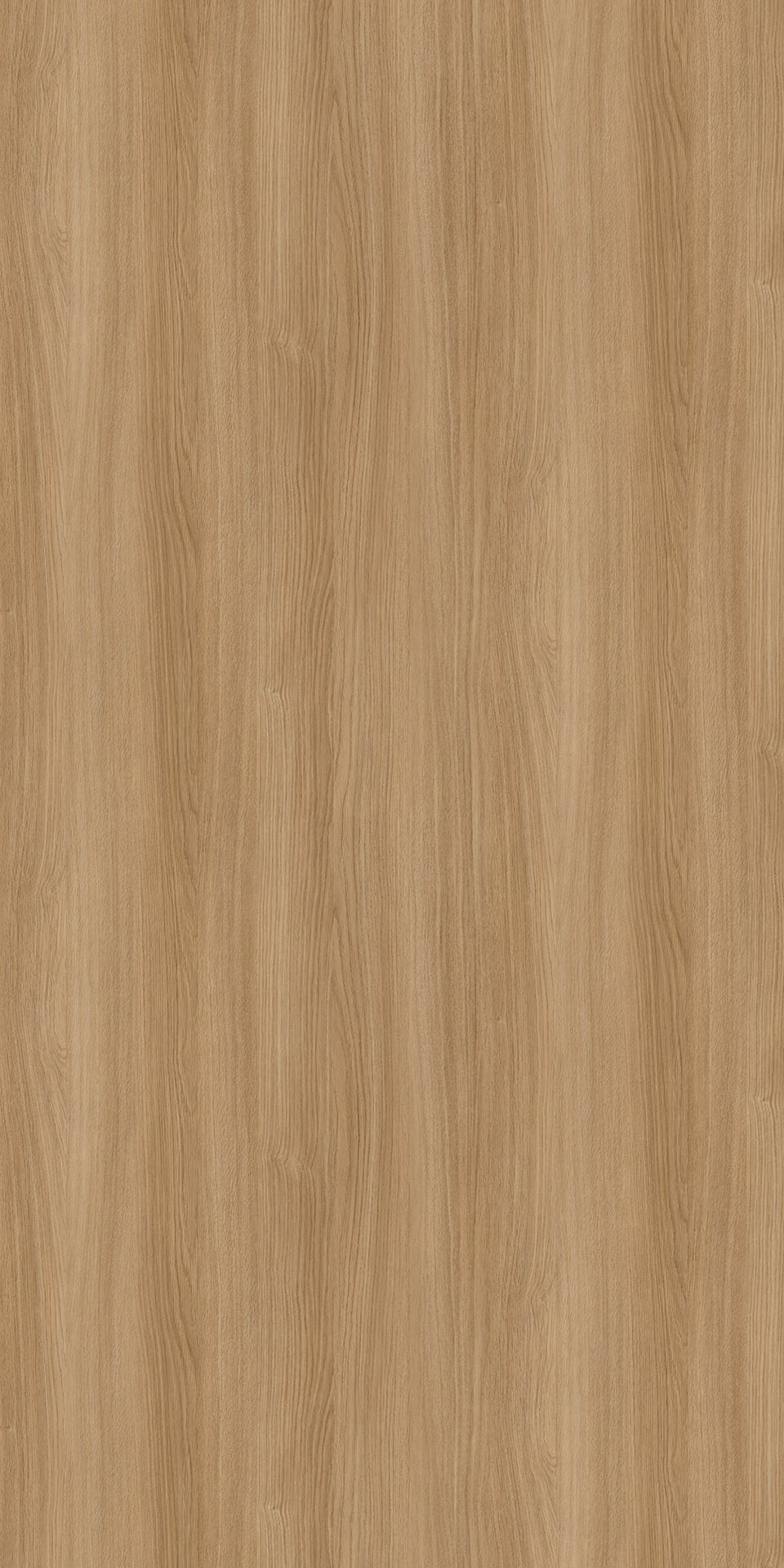 TINE-0003 Immersion Oak N