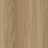 TIN-2524K Sieg Birch N