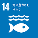 14 海の豊かさを 守ろう